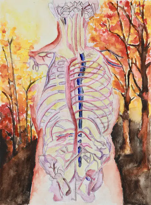 Anatomy of Autumn (watercolor)